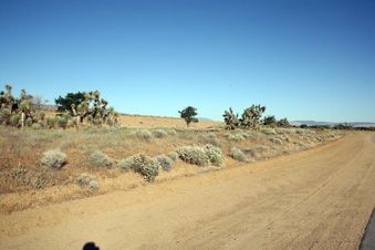 Enlarge photo 38