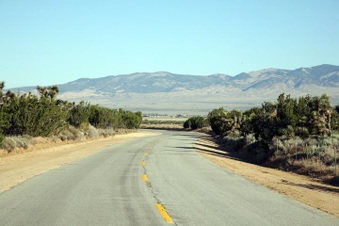 Enlarge photo 52