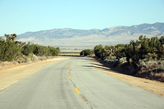 Enlarge photo 54