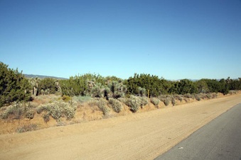 Enlarge photo 55