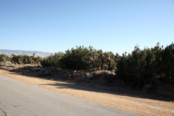 Enlarge photo 57
