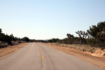 Enlarge photo 59