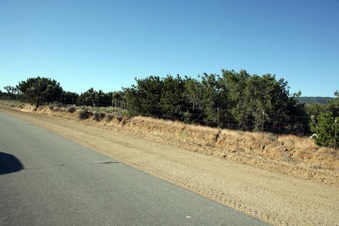 Enlarge photo 62