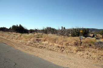 Enlarge photo 77