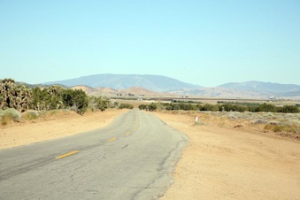 Enlarge photo 80