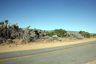 Enlarge photo 81
