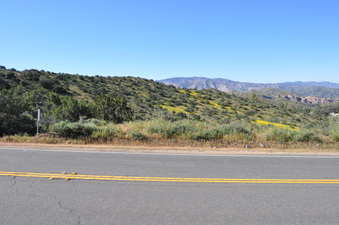 Enlarge photo 8