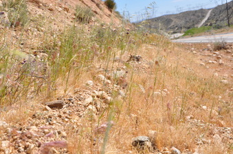 Enlarge photo 10
