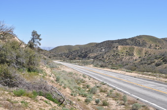 Enlarge photo 12