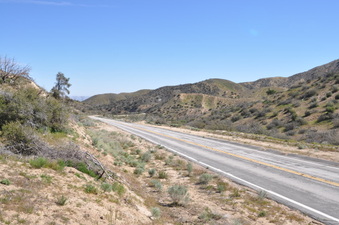 Enlarge photo 13