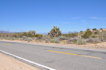 Enlarge photo 8