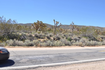 Enlarge photo 11