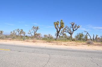 Enlarge photo 15