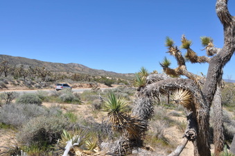 Enlarge photo 19