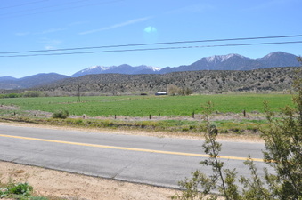 Enlarge photo 21