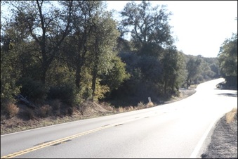 Enlarge photo 28