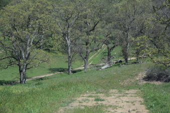 DWR Road-Tejon Ranch
