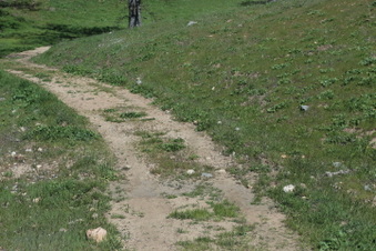 Enlarge photo 4