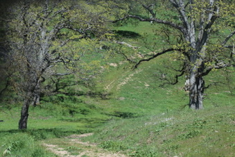 Enlarge photo 5