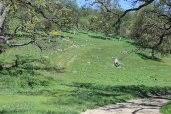 Enlarge photo 6