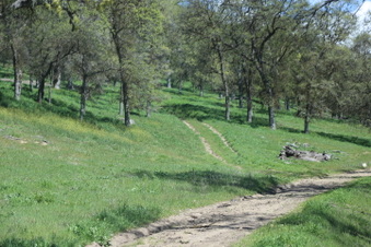 Enlarge photo 8