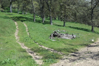 Enlarge photo 10