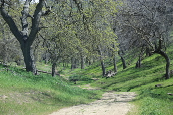 Enlarge photo 13