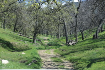 Enlarge photo 14