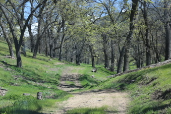 Enlarge photo 15
