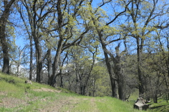 Enlarge photo 16