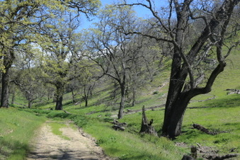 Enlarge photo 17