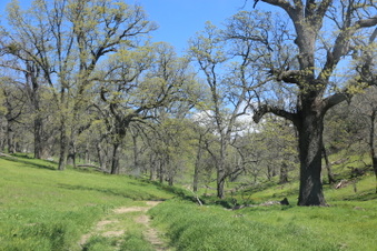 Enlarge photo 18