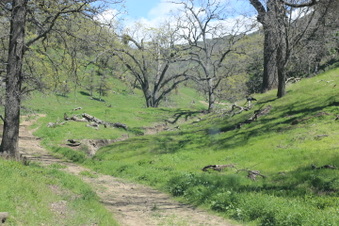 Enlarge photo 19