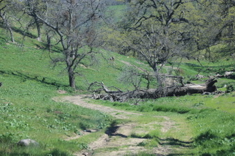 Enlarge photo 21