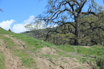 Enlarge photo 22