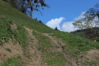 Enlarge photo 23