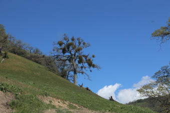 Enlarge photo 24