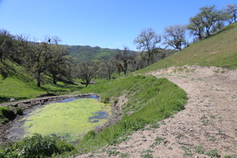 Enlarge photo 25