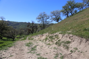 Enlarge photo 27