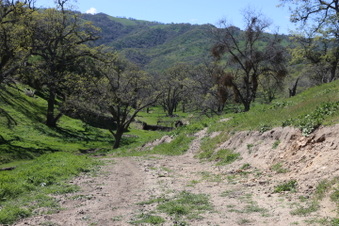 Enlarge photo 28
