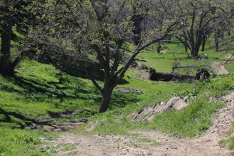 Enlarge photo 29