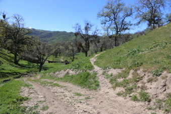 Enlarge photo 30