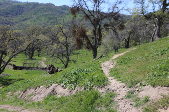 Enlarge photo 31