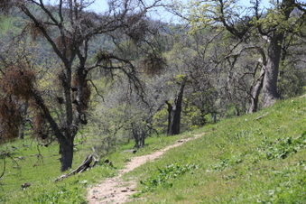 Enlarge photo 32