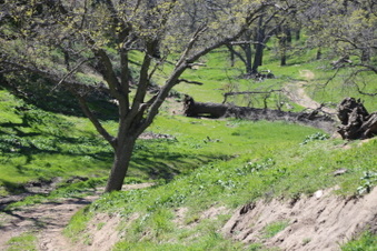 Enlarge photo 33