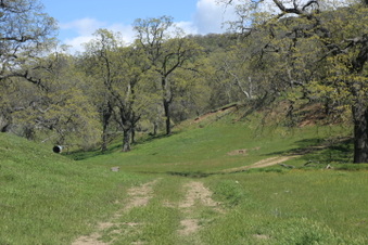 Enlarge photo 34