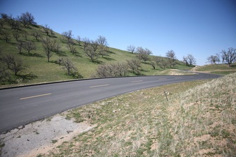 Enlarge photo 40