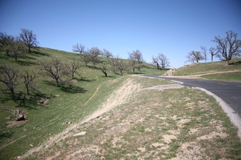 Enlarge photo 41