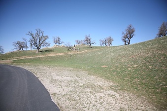 Enlarge photo 43