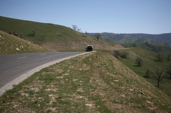 Enlarge photo 45